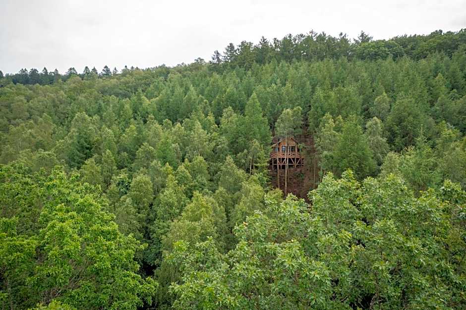 Les cabanes des Dolimarts
