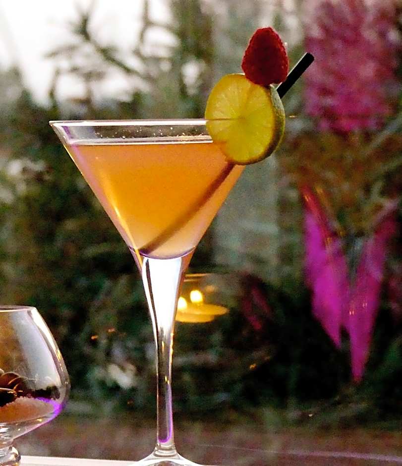 Hôtel L' Estelle en Camargue