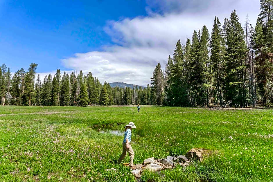 Holiday Inn Express And Suites OAKHURST-YOSEMITE PARK AREA By IHG