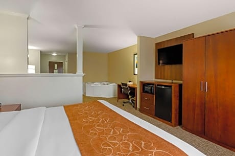 1 King Bed, Suite, Nonsmoking