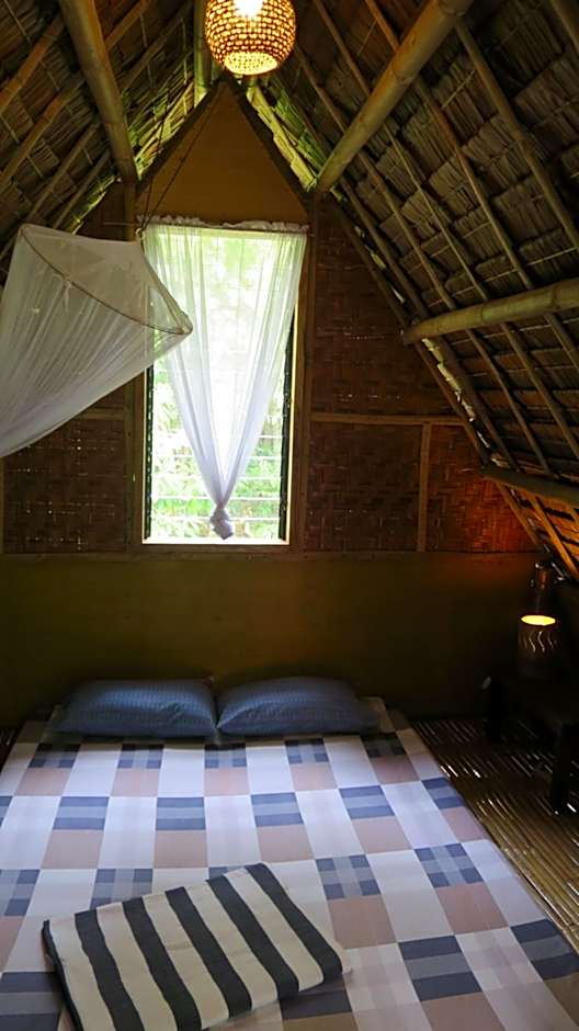 Lazy Lizard Hostel