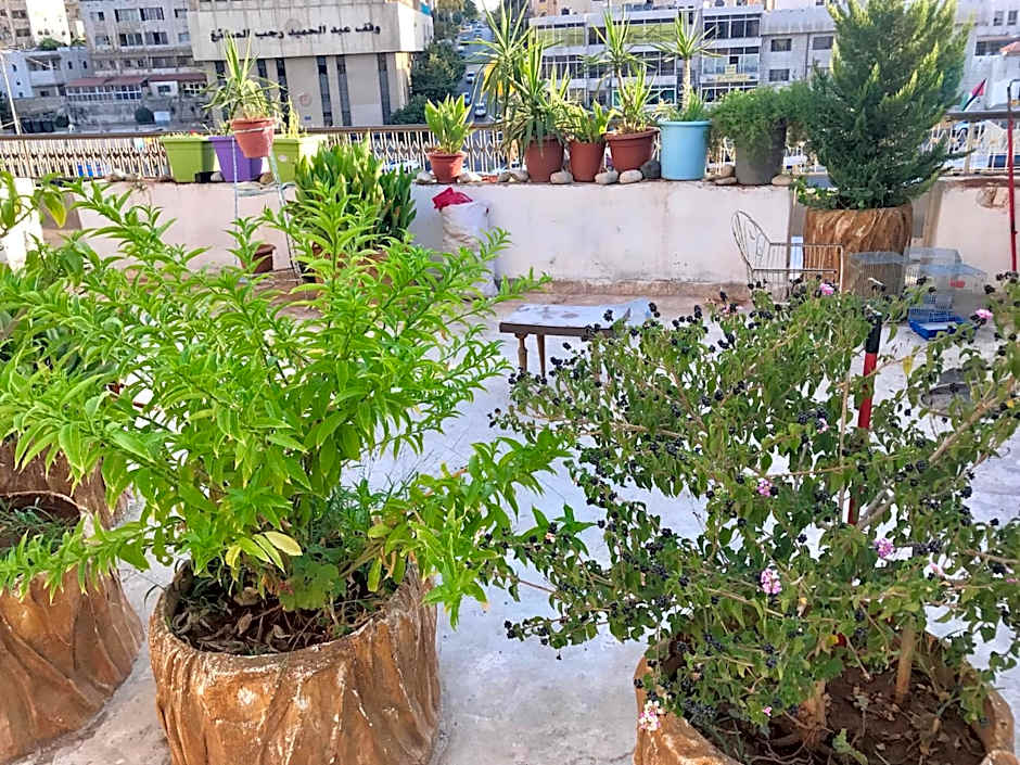 Sun Rise Hotel & Hostel & Tours