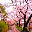 SEN Gojo KAMICHO (Dog Friendly)