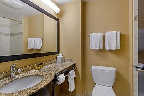 Suite-1 King Bed Non-Smoking Fireplace Whirlpool Work Desk Microwave Fridge Wi-Fi Full Breakfast
