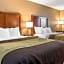 Comfort Inn & Suites Piqua-Near Troy-I75