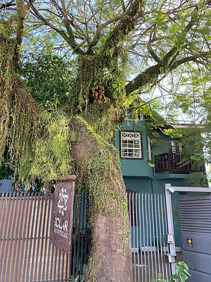 Solar das Pétalas Guest House