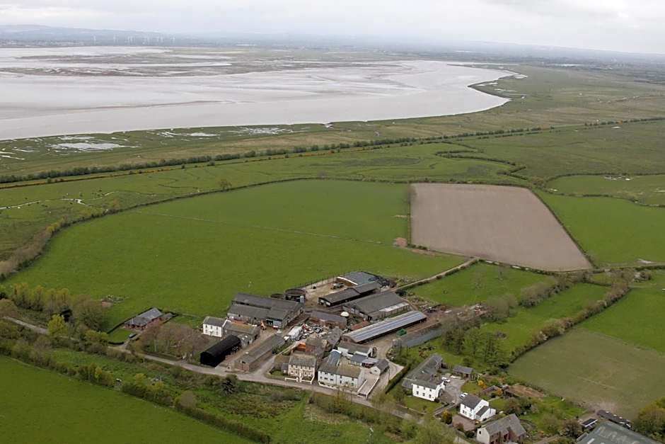 Midtown Farm Bed & Breakfast