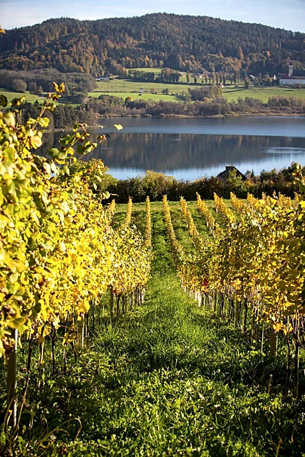 Bio Weingut Georgium