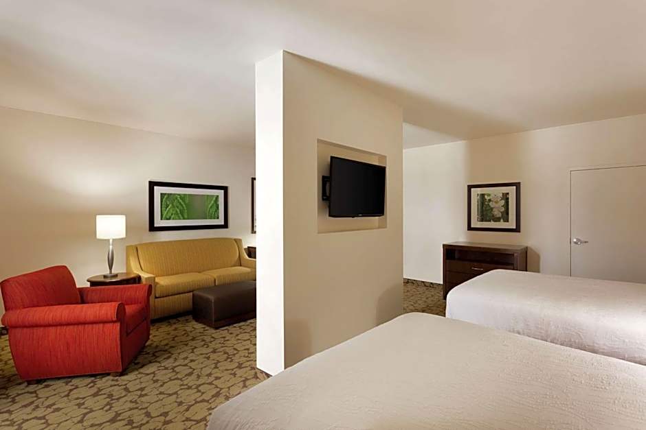 Hilton Garden Inn Rochester Downtown