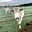 Sandalwood Downs Fabulous Farm Stay TOODYAY