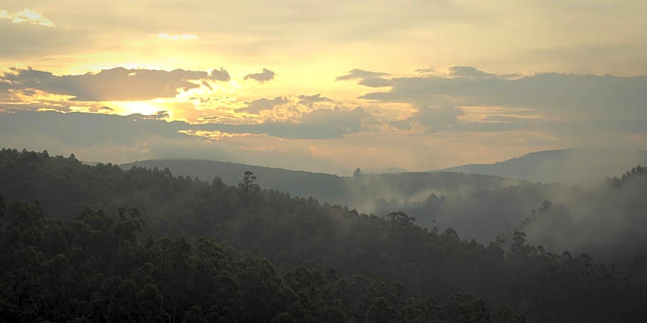 Tanamera Lodge