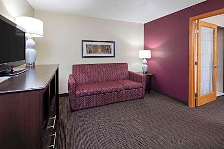 Deluxe King Suite - Non-Smoking