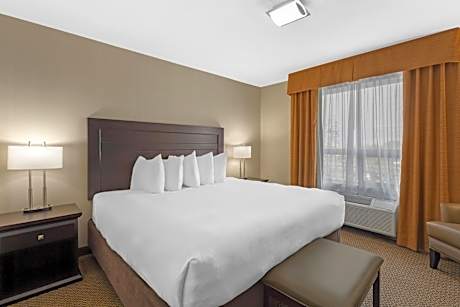 One-Bedroom King Suite with Sofa Bed - Non-Smoking