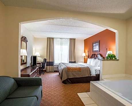 Comfort Inn & Suites Spartanburg North