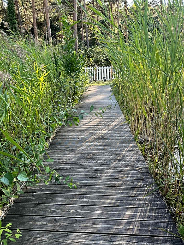 Du côté de chez Sam