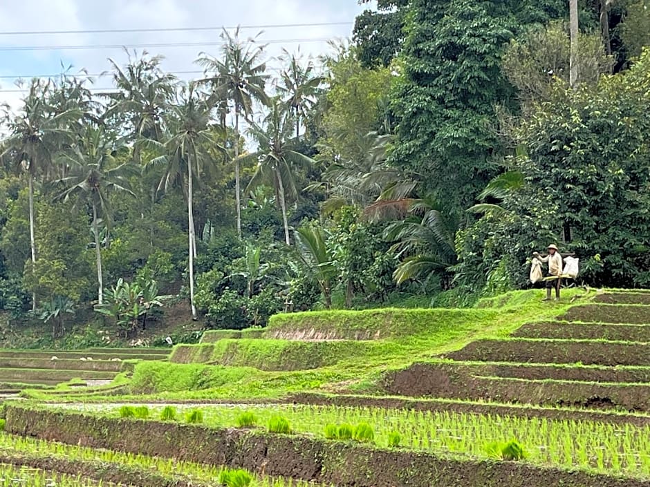 Balian Bliss Retreat Bungalow & Villas