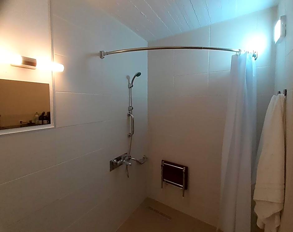 Delphini Studios - for the disabled