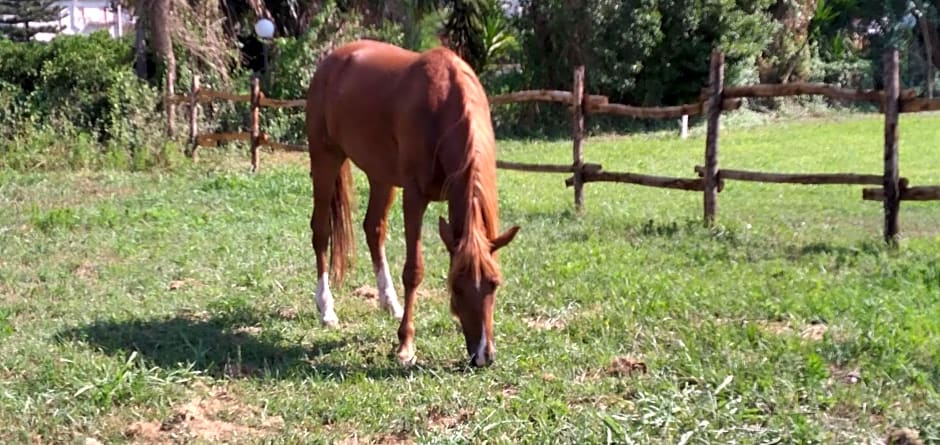B&B Tenuta San Michele