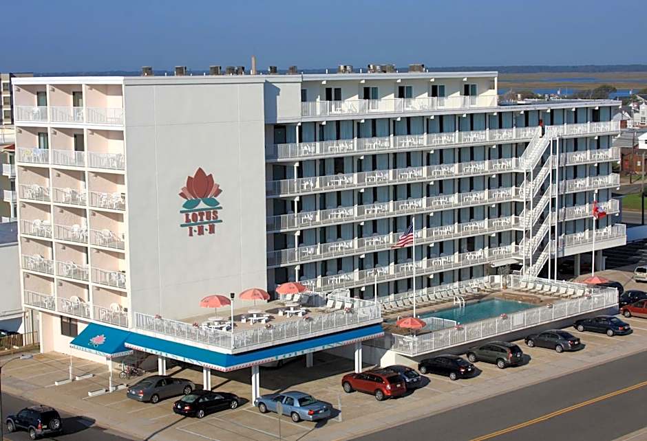Lotus Inn