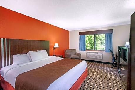 1 King Bed Non-Smoking