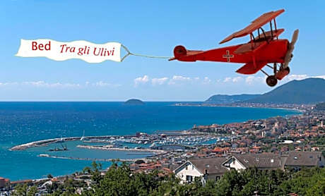 Tra Gli Ulivi