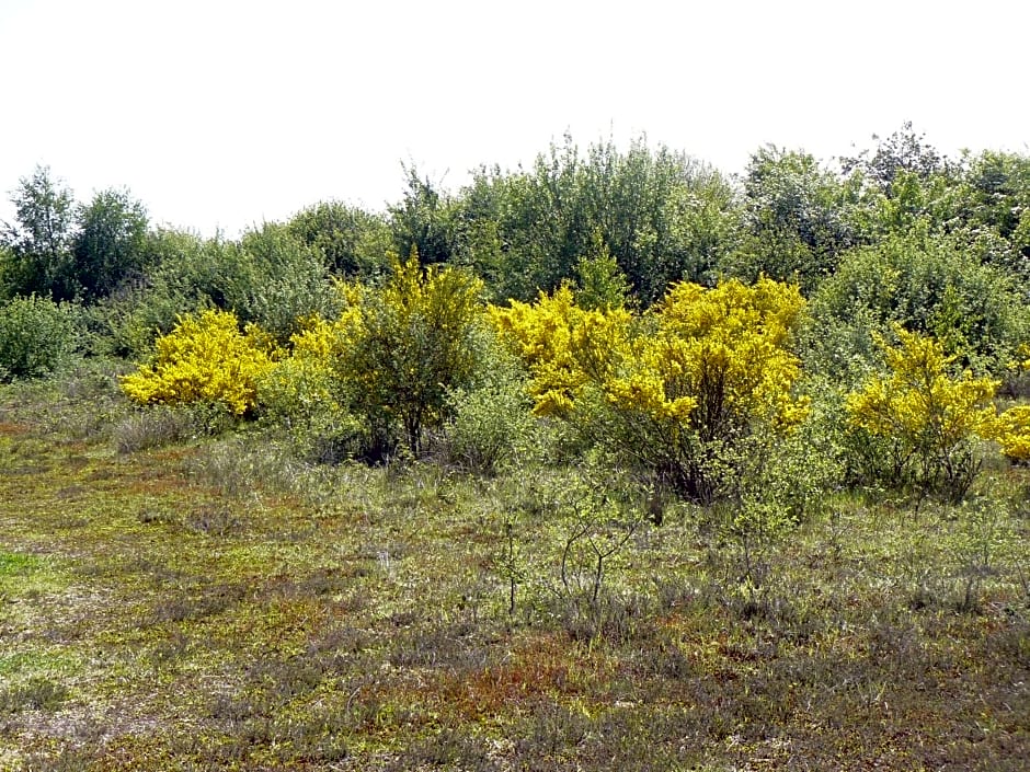 Stichting Veenloopcentrum Weiteveen