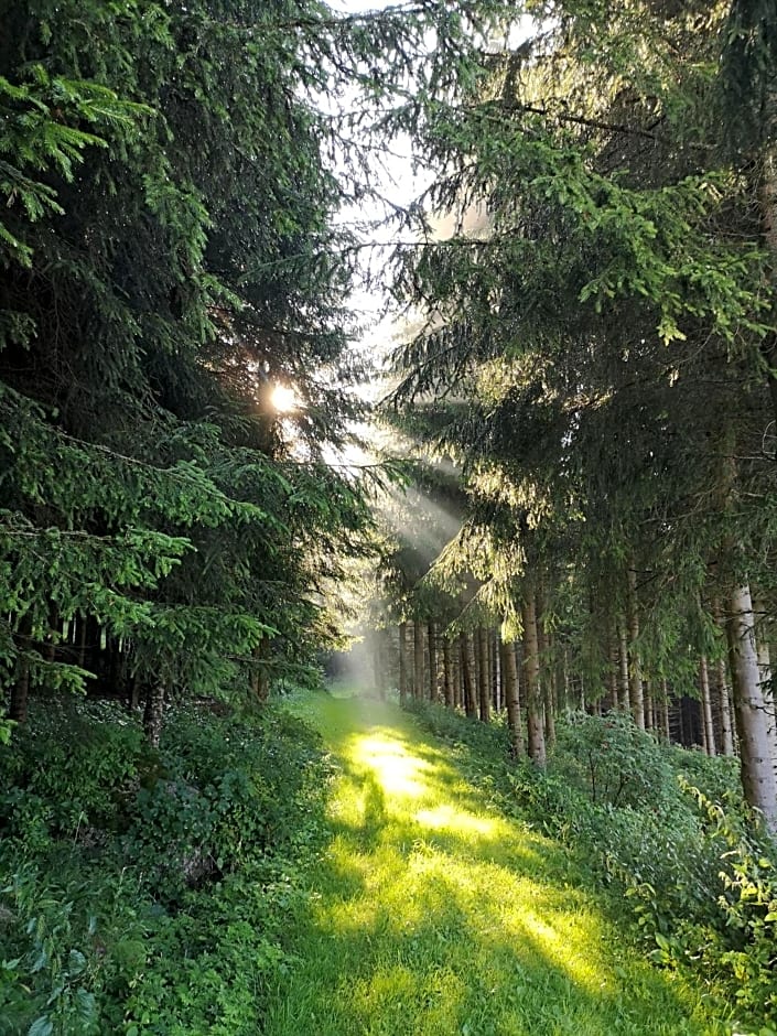 Ferienhaus FRIEDLHOF