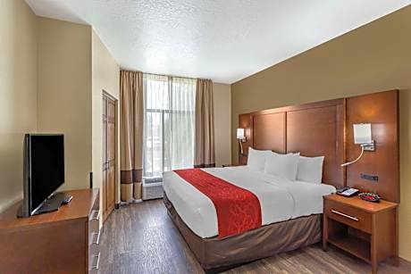 Efficiency King Suite - Non-Smoking/Pet Friendly