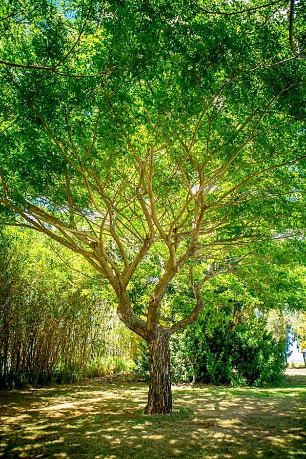 Lumeria Maui, Educational Retreat Center