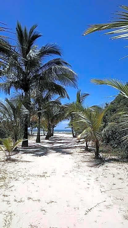 Casinha da Nete (6 pessoas)