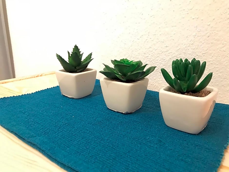 Chata Domaša - Monika