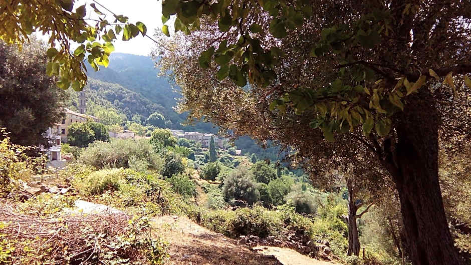 Chambre d'Hôtes La Marlotte