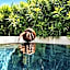 VILLA MIAMI