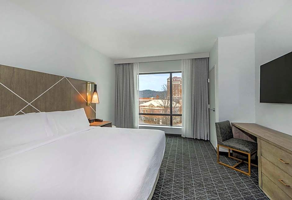 Embassy Suites by Hilton Asheville Downtown