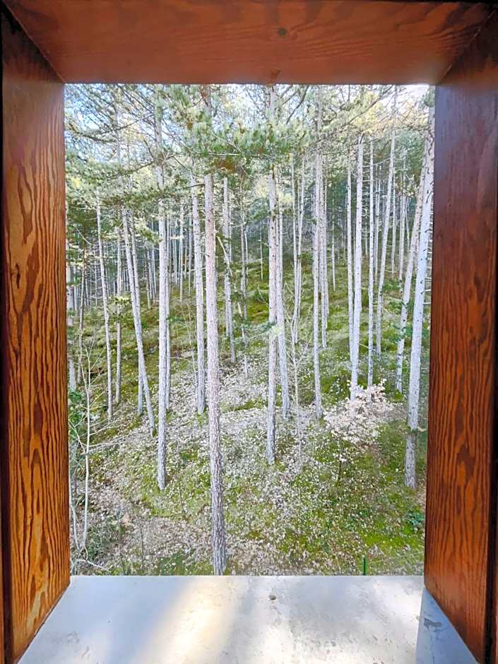 Hotel Garnì Mille Pini