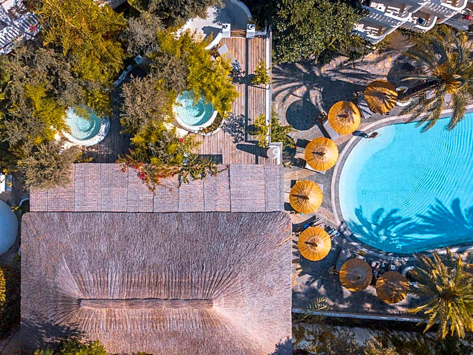 Flamingo Hotel & Spa - Pet Friendly