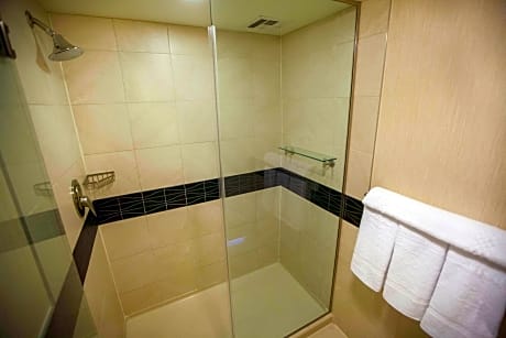 One Bedroom Suite - King - Mobility Accessible - Transfer Shower