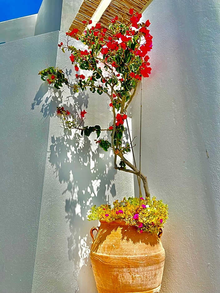 Anita Rooms & Suites Milos