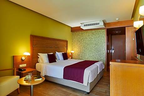 Twin Room Mountain view