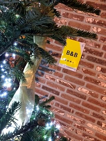 B&B Sasput