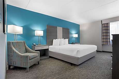 King Room with Roll-In Shower - Mobility Accessible/Pet Friendly