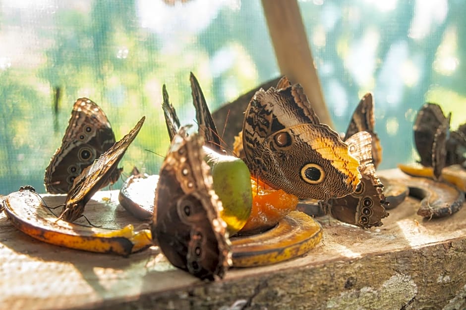 Paraiso Volcano Lodge