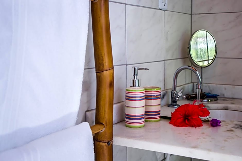 Planeta Banana Paraty