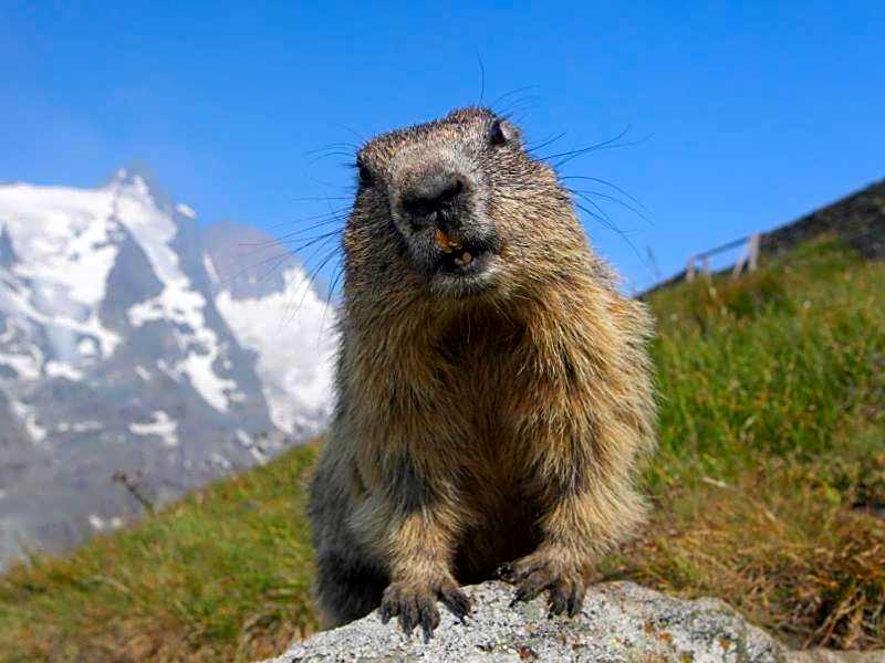 Hotel-Restaurant Lampenhäusl