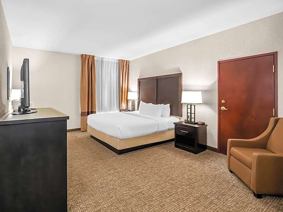 Comfort Inn & Suites Allen Park - Dearborn