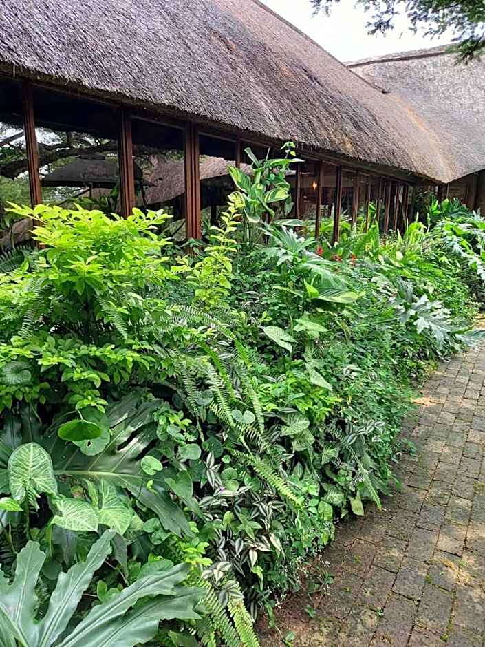 Ascot Bush Lodge & Spa