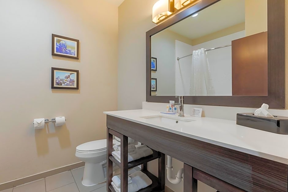 Comfort Inn & Suites Balch Springs - SE Dallas