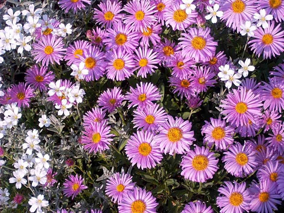 Hotel & Pension Aßmann