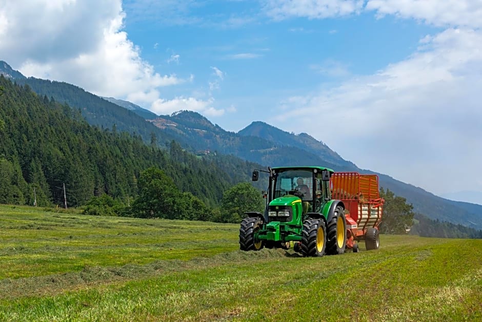 Brunner - Ferienwohnung im Hühnerhotel