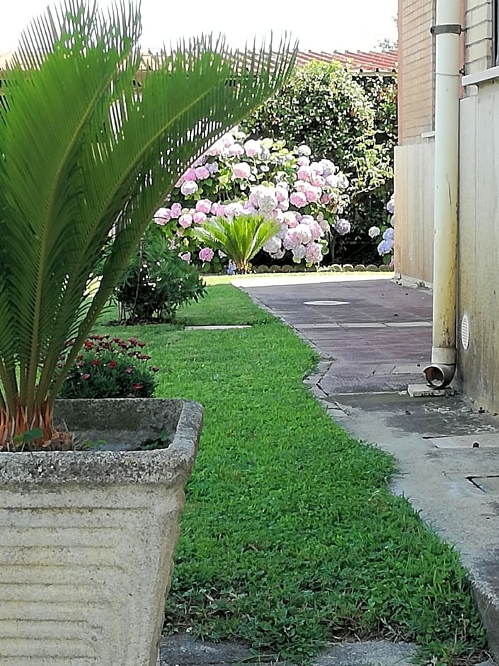 B&B Casa degli Ulivi